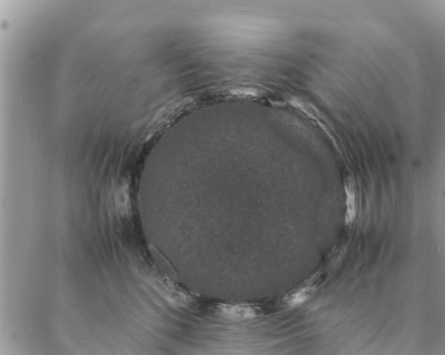 X0000086890520200704231131