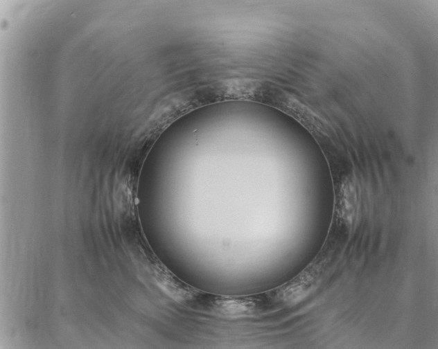 X0000086890522200704231131