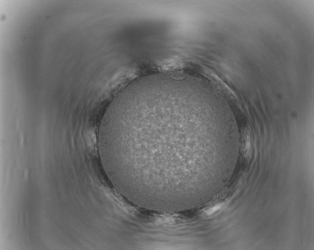 X0000086890523200704231131