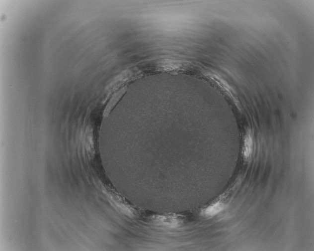 X0000086890524200704231131