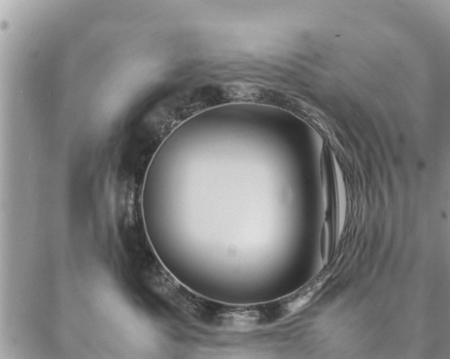 X0000086890525200704231131