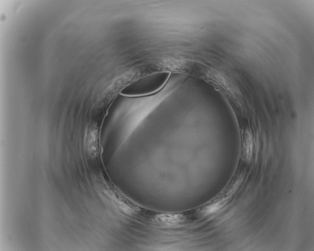 X0000086890526200704231131