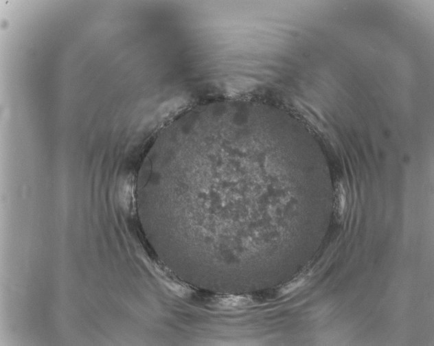 X0000086890527200704231131