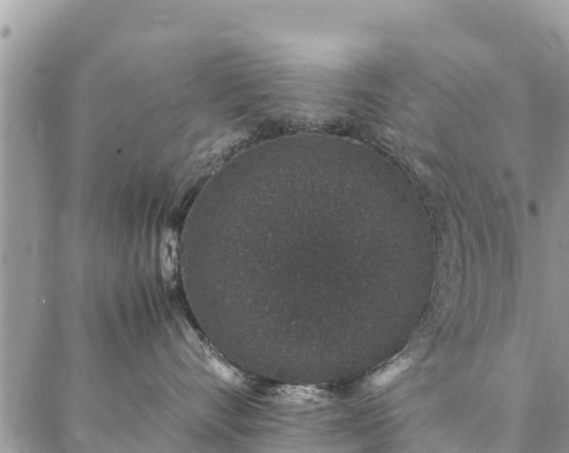 X0000086890528200704231131