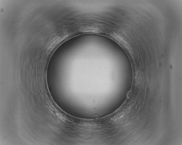 X0000086890529200704231130