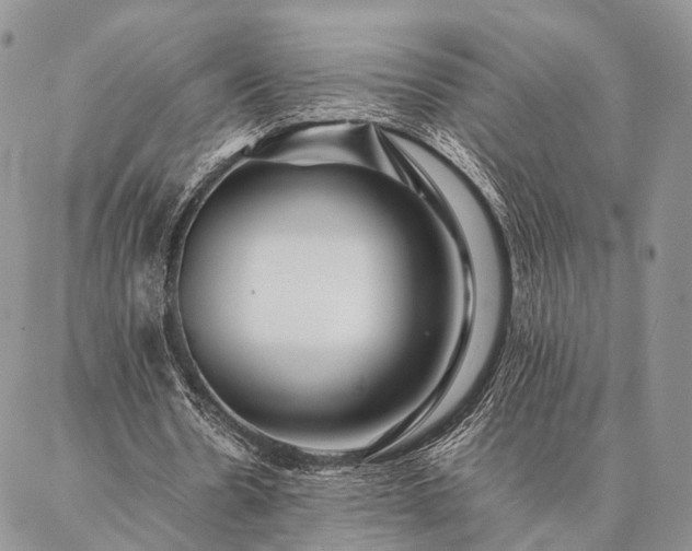 X0000086890530200704231130