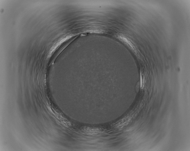 X0000086890531200704231130