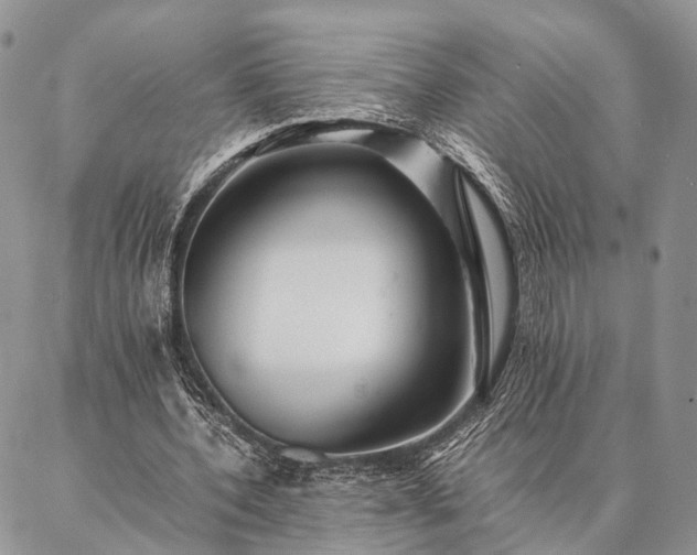 X0000086890532200704231130