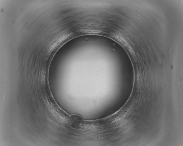 X0000086890533200704231130