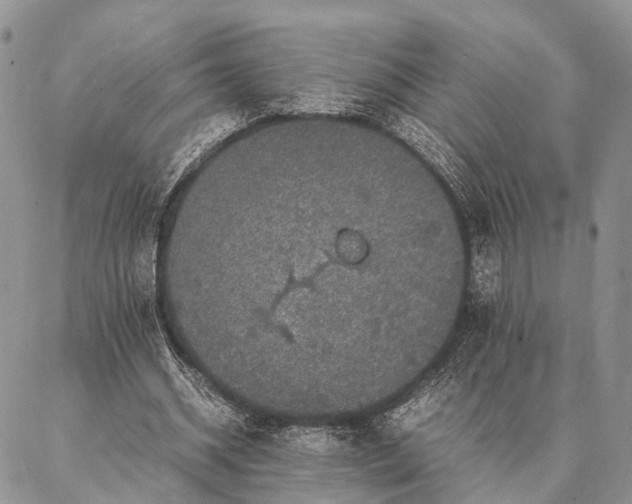 X0000086890534200704231130