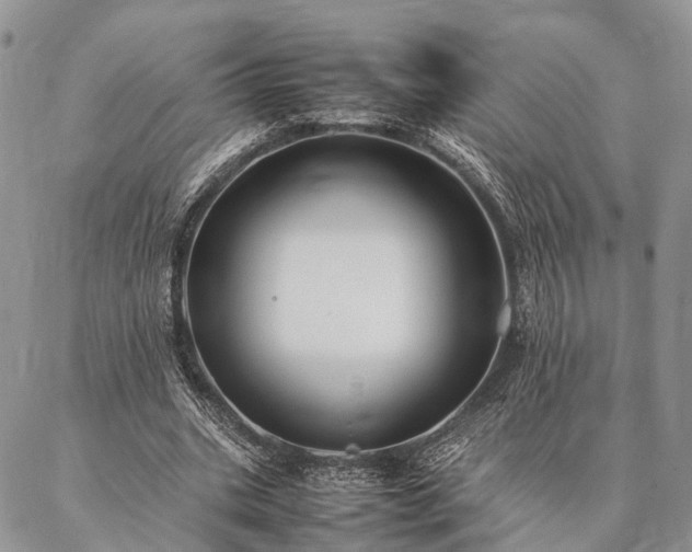 X0000086890535200704231130