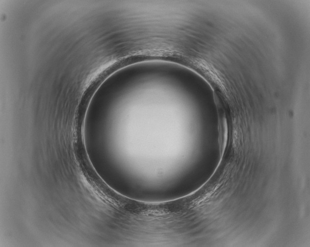 X0000086890536200704231130