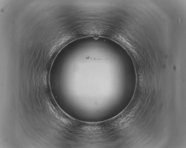 X0000086890537200704231130