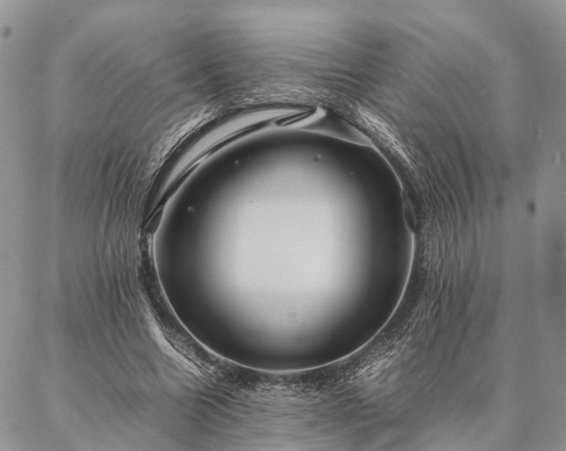 X0000086890538200704231130