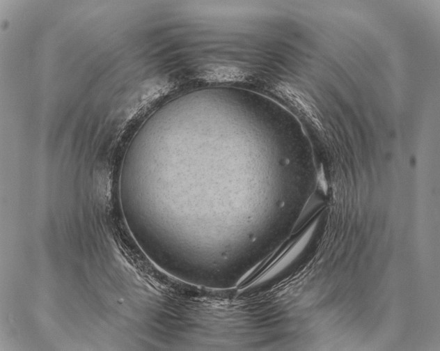 X0000086890539200704231130