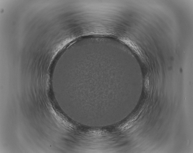 X0000086890540200704231130