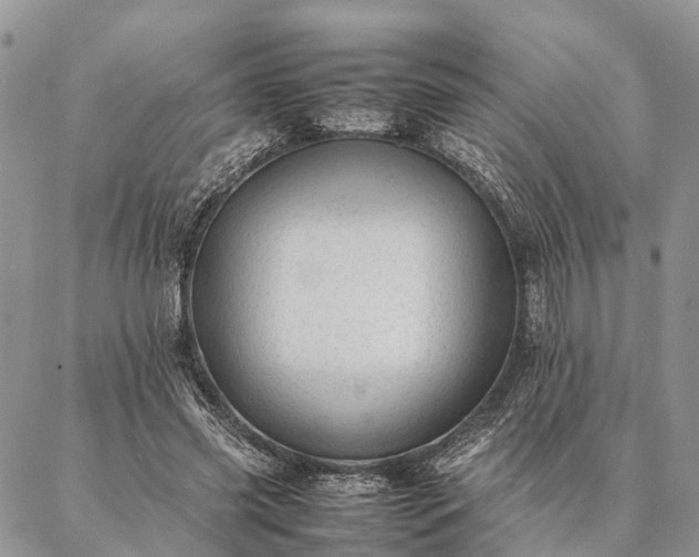 X0000086890541200704231130