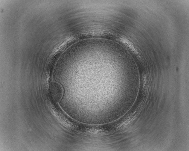 X0000086890542200704231130