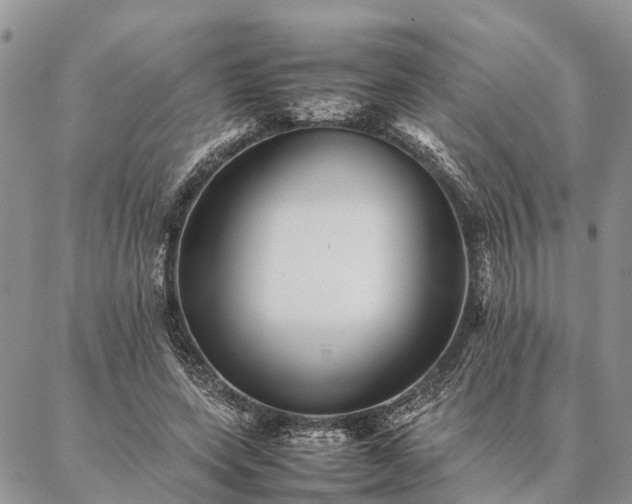 X0000086890543200704231130