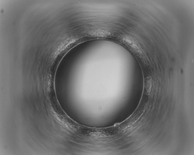 X0000086890544200704231130