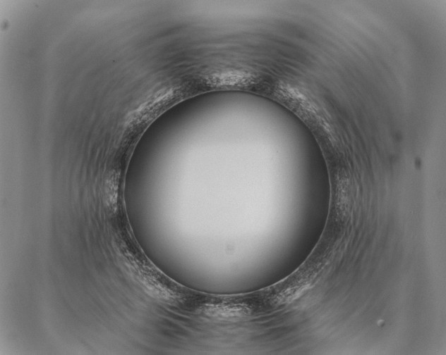 X0000086890545200704231130