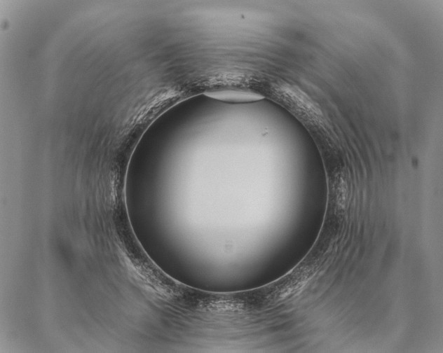 X0000086890546200704231130