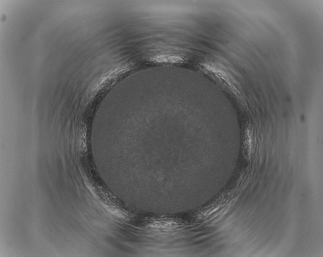 X0000086890547200704231131