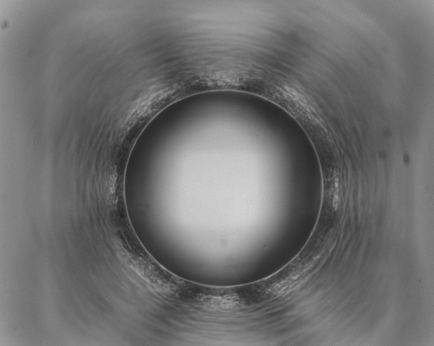 X0000086890548200704231131