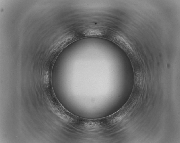 X0000086890549200704231131