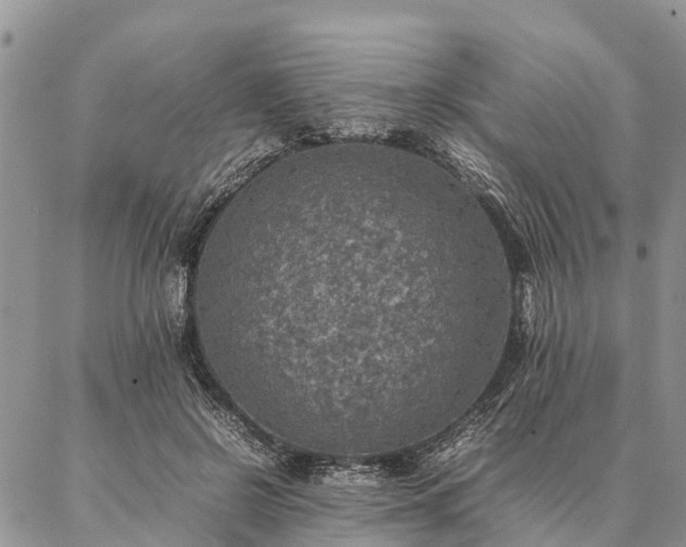 X0000086890550200704231131