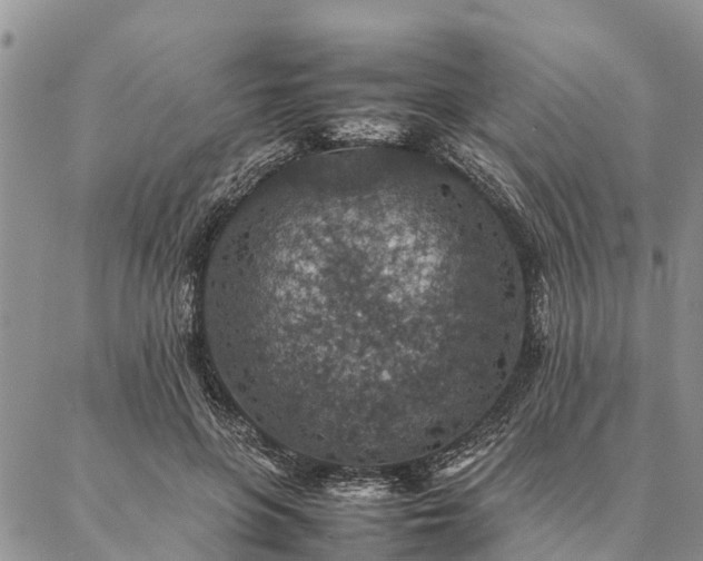 X0000086890551200704231131