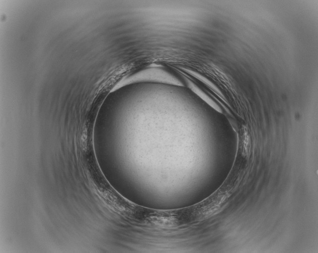 X0000086890552200704231131