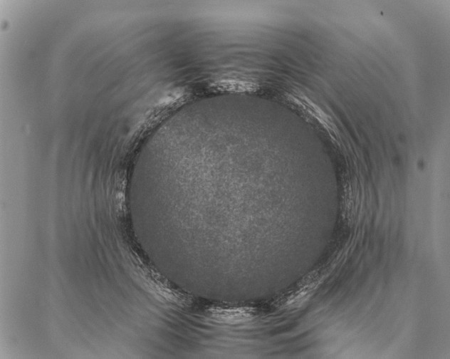 X0000086890553200704231131