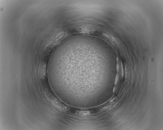 X0000086890554200704231131