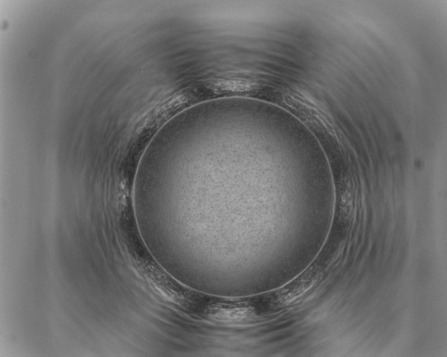 X0000086890555200704231131