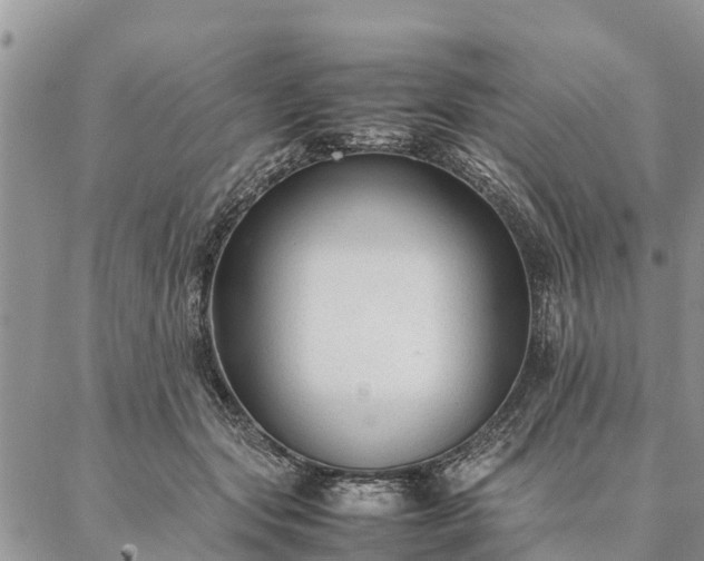 X0000086890557200704231131