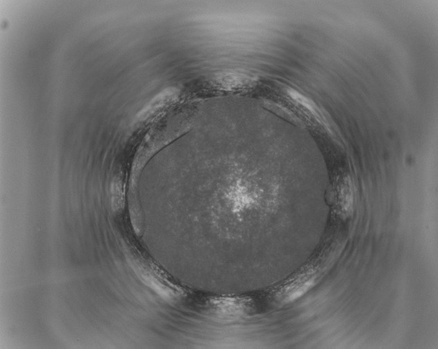 X0000086890558200704231131