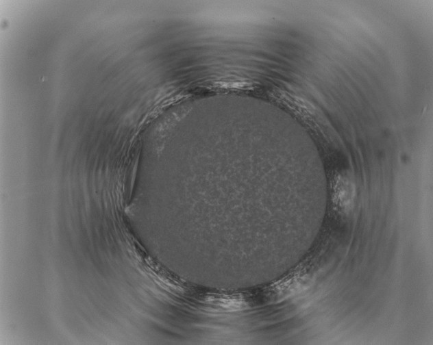 X0000086890559200704231131