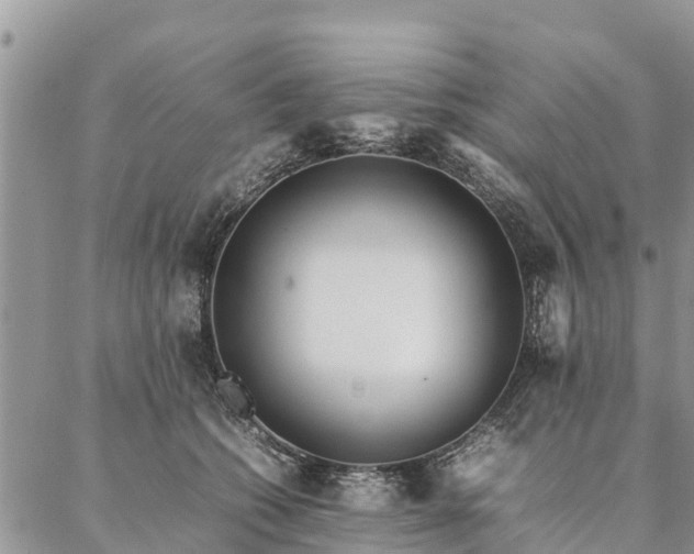 X0000086890562200704231131