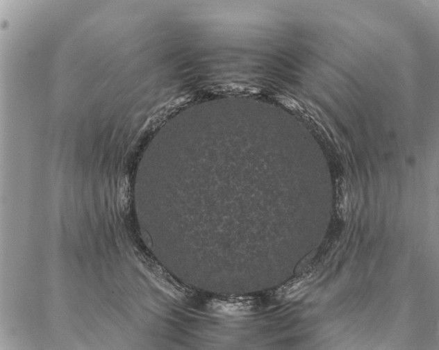 X0000086890563200704231131