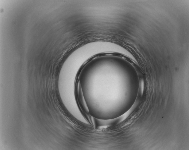 X0000086890564200704231131