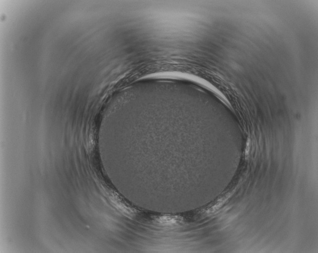 X0000086890566200704231131