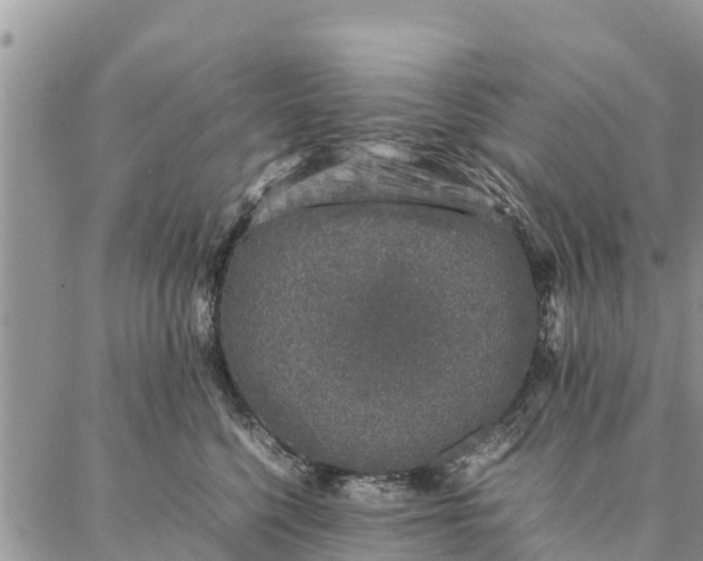 X0000086890568200704231131