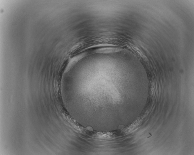 X0000086890569200704231131