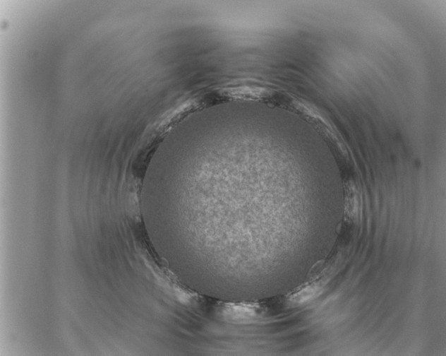 X0000086890573200704231131