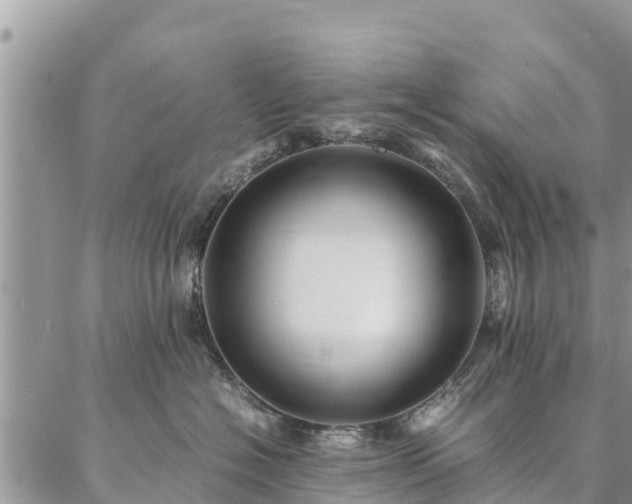 X0000086890574200704231131