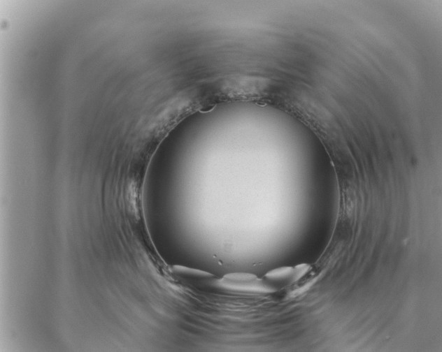 X0000086890575200704231131