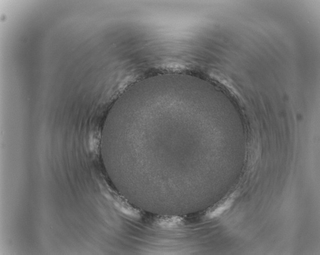 X0000086890576200704231131