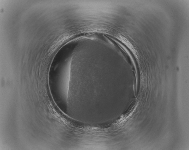 X0000086890577200704231130