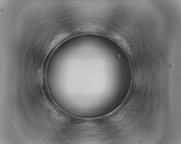 X0000086890578200704231130